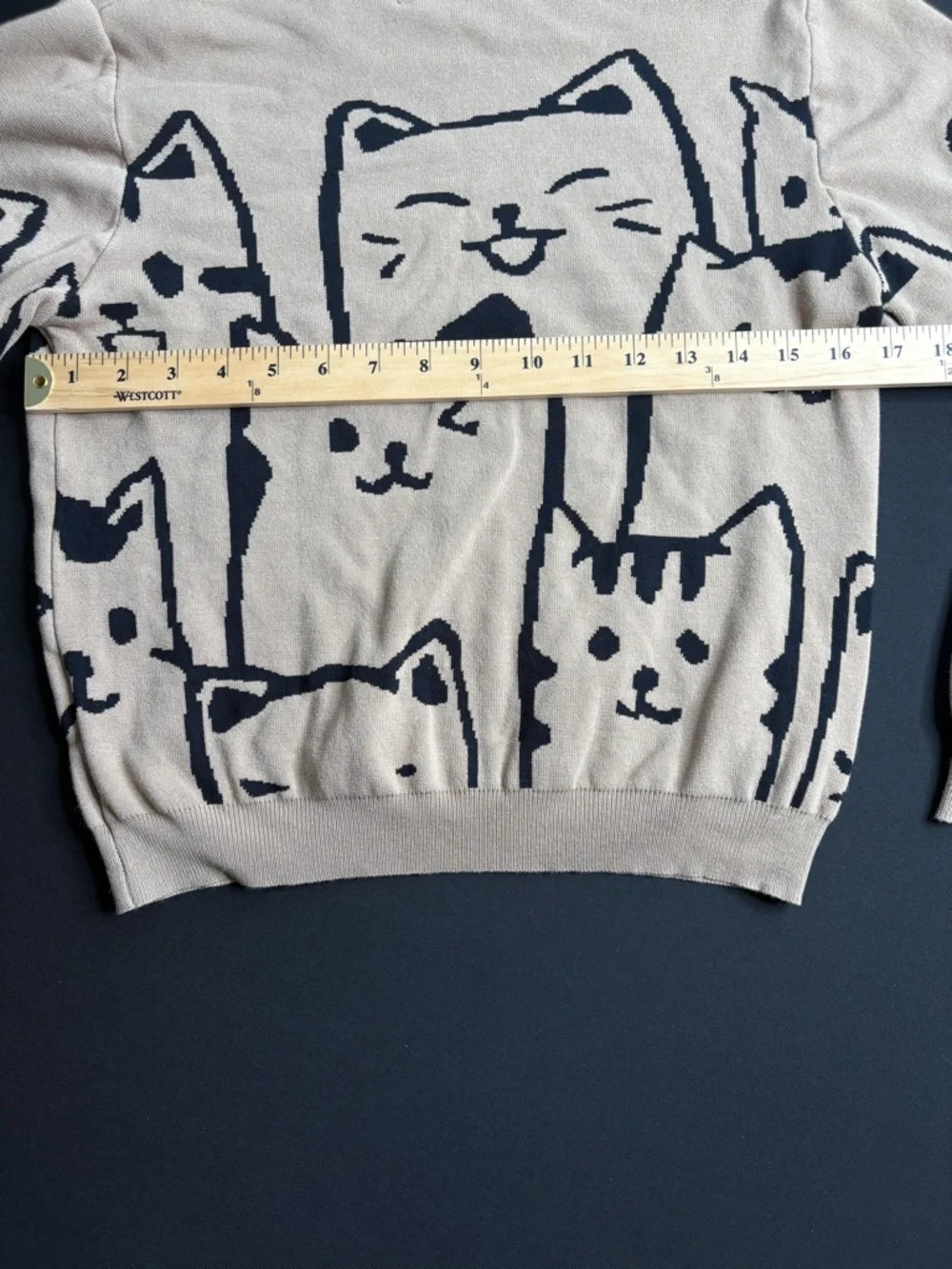 🤍Cute Cat Pattern Sweater - Beige by Lizette Collection size L